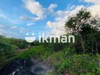 Land For Sale in Dambulla - දඹුල්ලෙන් ඉඩමක් විකිණීමට