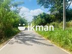 Land For Sale in Dambulla - දඹුල්ලෙන් ඉඩමක් විකිණීමට