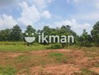 Land For Sale in Dambulla - දඹුල්ලෙන් ඉඩමක් විකිණීමට