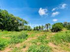 Land For Sale in Dambulla - දඹුල්ලෙන් ඉඩමක් විකිණීමට