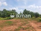 Land For Sale in Dambulla - දඹුල්ලෙන් ඉඩමක් විකිණීමට