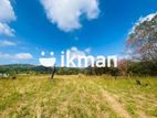 Land For Sale in Dambulla - දඹුල්ලෙන් ඉඩමක් විකිණීමට