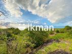 Land For Sale in Dambulla - දඹුල්ලෙන් ඉඩමක් විකිණීමට