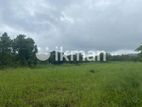 Land For Sale in Dambulla - දඹුල්ලෙන් ඉඩමක් විකිණීමට