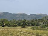 Land for Sale in Dambulla - දඹුල්ලෙන් ඉඩමක් විකිණීමට