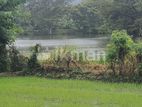 Land for Sale in Dambulla - දඹුල්ලෙන් ඉඩමක් විකිණීමට