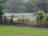 Land for Sale in Dambulla - දඹුල්ලෙන් ඉඩමක් විකිණීමට