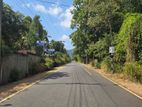 Land for Sale in Dambulla - දඹුල්ලෙන් ඉඩමක් විකිණීමට