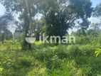 Land For Sale in Dambulla - දඹුල්ලෙන් ඉඩමක් විකිණීමට