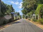 Land for Sale in Dambulla - දඹුල්ලෙන් ඉඩමක් විකිණීමට