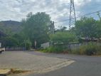 Land for Sale in Dambulla-දඹුල්ලෙන් ඉඩමක් විකිණීමට
