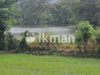Land for Sale in Dambulla - දඹුල්ලෙන් ඉඩමක් විකිණීමට