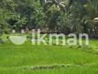 Land for Sale in Dambulla - දඹුල්ලෙන් ඉඩමක් විකිණීමට