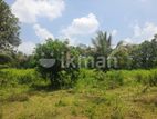 Land For Sale in Dambulla - දඹුල්ලෙන් ඉඩමක් විකිණීමට