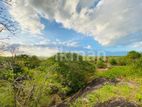 Land For Sale in Dambulla - දඹුල්ලෙන් ඉඩමක් විකිණීමට