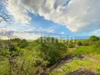 Land For Sale in Dambulla - දඹුල්ලෙන් ඉඩමක් විකිණීමට
