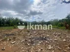 Land For Sale in Dambulla - දඹුල්ලෙන් ඉඩමක් විකිණීමට