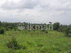 Land For Sale in Dambulla - දඹුල්ලෙන් ඉඩමක් විකිණීමට
