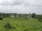 Land For Sale in Dambulla - දඹුල්ලෙන් ඉඩමක් විකිණීමට