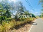 Land For Sale in Dambulla - දඹුල්ලෙන් ඉඩමක් විකිණීමට