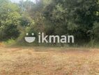 Land For Sale in Dambulla - දඹුල්ලෙන් ඉඩමක් විකිණීමට