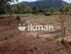 Land For Sale in Dambulla - දඹුල්ලෙන් ඉඩමක් විකිණීමට