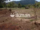 Land For Sale in Dambulla - දඹුල්ලෙන් ඉඩමක් විකිණීමට