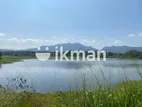 Land For Sale in Dambulla - දඹුල්ලෙන් ඉඩමක් විකිණීමට