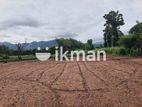 Land For Sale in Dambulla - දඹුල්ලෙන් ඉඩමක් විකිණීමට