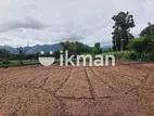 Land For Sale in Dambulla - දඹුල්ලෙන් ඉඩමක් විකිණීමට