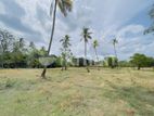 Land For Sale in Dambulla - දඹුල්ලෙන් ඉඩමක් විකිණීමට