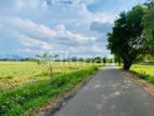 Land For Sale in Dambulla - දඹුල්ලෙන් ඉඩමක් විකිණීමට