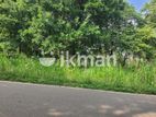 Land For Sale in Dambulla - දඹුල්ලෙන් ඉඩමක් විකිණීමට