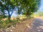 Land For Sale in Dambulla - දඹුල්ලෙන් ඉඩමක් විකිණීමට