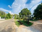 Land For Sale in Dambulla - දඹුල්ලෙන් ඉඩමක් විකිණීමට