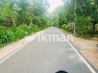 Land For Sale in Dambulla - දඹුල්ලෙන් ඉඩමක් විකිණීමට