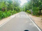 Land For Sale in Dambulla - දඹුල්ලෙන් ඉඩමක් විකිණීමට