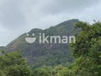 Land For Sale in Dambulla - දඹුල්ලෙන් ඉඩමක් විකිණීමට