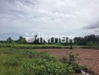 Land For Sale in Dambulla - දඹුල්ලෙන් ඉඩමක් විකිණීමට