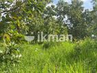 Land For Sale in Dambulla - දඹුල්ලෙන් ඉඩමක් විකිණීමට