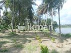 Land For Sale in Dambulla - දඹුල්ලෙන් ඉඩමක් විකිණීමට