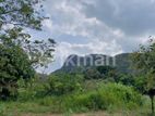 Land For Sale in Dambulla - දඹුල්ලෙන් ඉඩමක් විකිණීමට