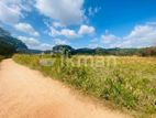 Land For Sale in Dambulla - දඹුල්ලෙන් ඉඩමක් විකිණීමට