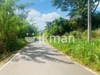 Land For Sale in Dambulla - දඹුල්ලෙන් ඉඩමක් විකිණීමට