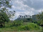 Land For Sale in Dambulla - දඹුල්ලෙන් ඉඩමක් විකිණීමට