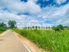 Land For Sale in Dambulla - දඹුල්ලෙන් ඉඩමක් විකිණීමට