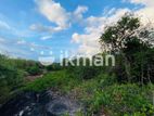 Land For Sale in Dambulla - දඹුල්ලෙන් ඉඩමක් විකිණීමට