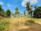 Land For Sale in Dambulla - දඹුල්ලෙන් ඉඩමක් විකිණීමට (නුවර පාර දඹුල්ල)