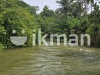 Land for Sale in Dambulla - දඹුල්ලෙන් වටිනා ඉඩමක් විකිණීමට