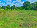 Land for Sale in Dambulla